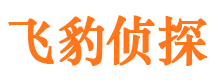 虎丘侦探公司